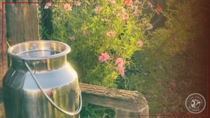 Blog Post Garden Planning Photo