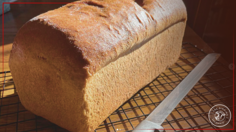Blog Post Simple Yeast Bread Photo
