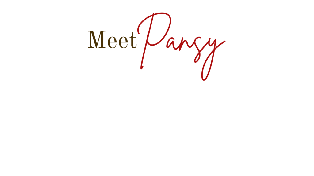 Meet Pansy