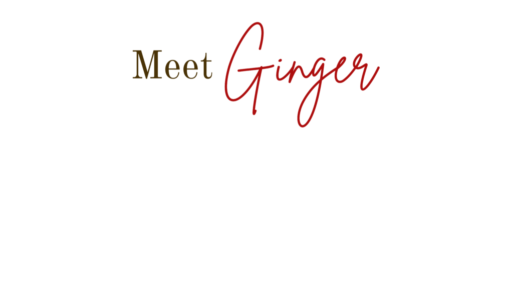 Meet Ginger